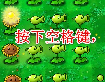 植物大战僵尸95版