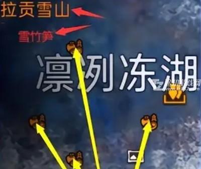 星球重启雪竹笋在哪采集