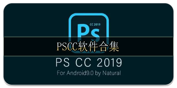 PSCC软件