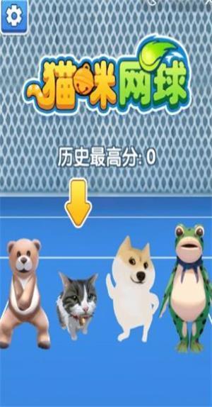 猫咪网球大赛截图1