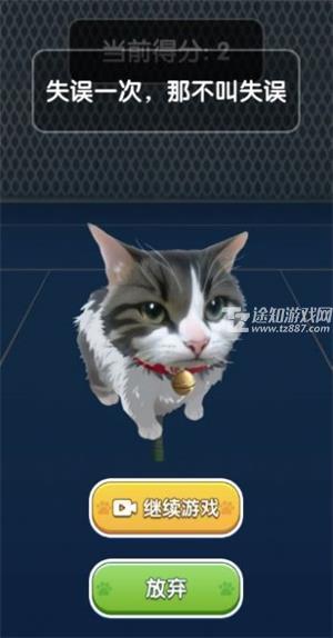 猫咪网球大赛