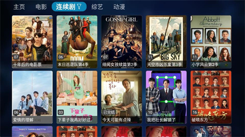 TVBOX电视版apk截图1