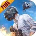 pubg小言魔改obb2.9