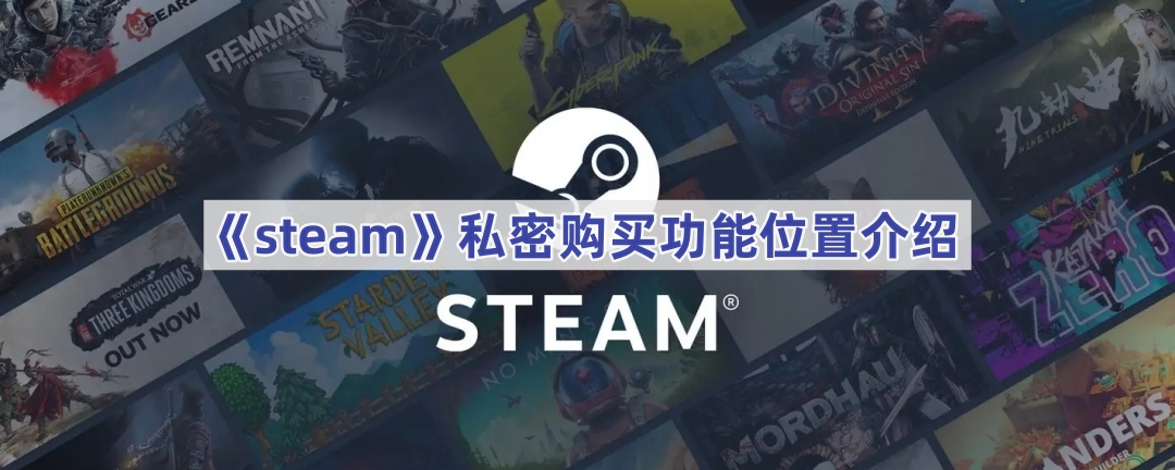 《steam》私密购买功能位置介绍