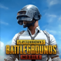 PUBG改文件