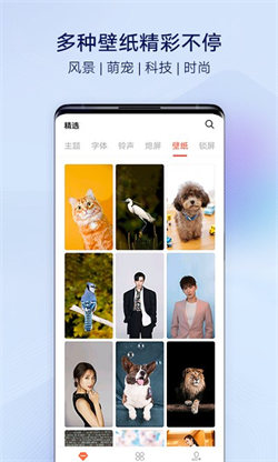 vivo主题截图3