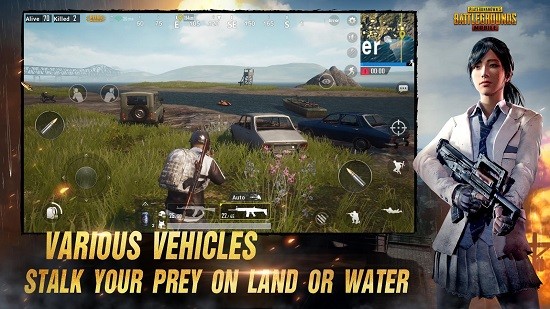 pubg雾会散轻体直装截图3