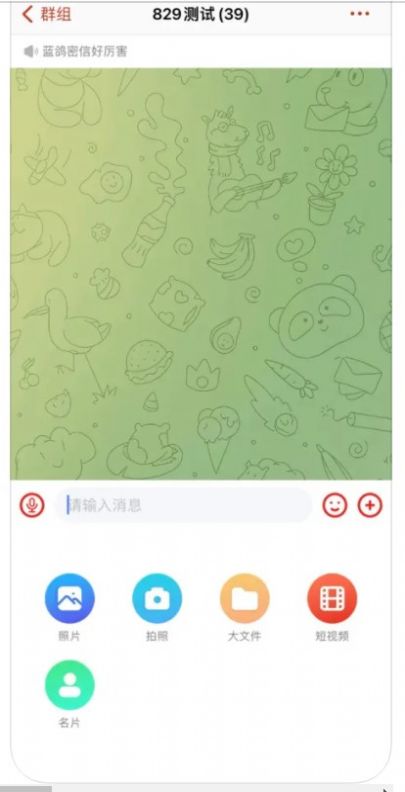 蓝鸽密信安卓版截图2