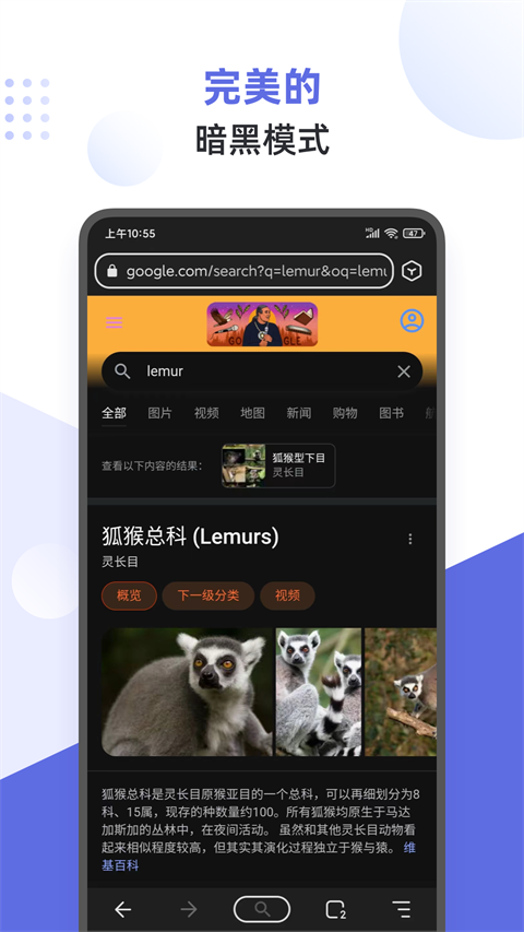 狐猴浏览器手机版截图4