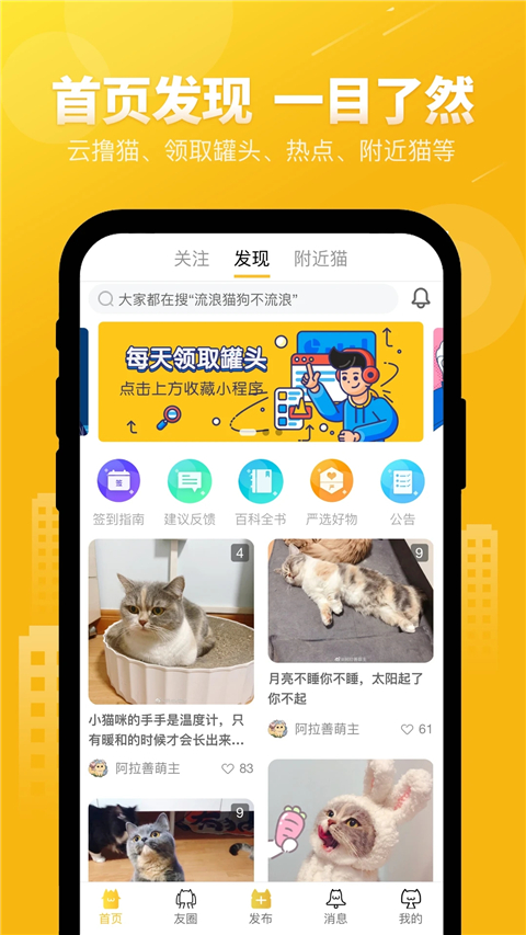 友猫截图4