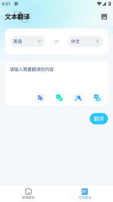 屏幕翻译悬浮球软件截图2