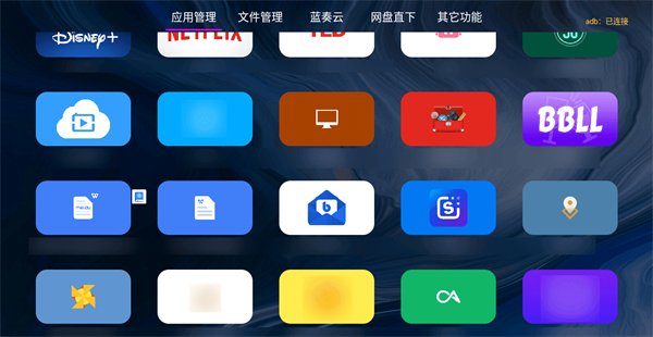 应用管家TV版截图3