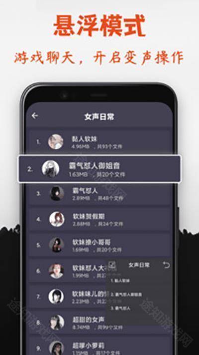 专业变声器