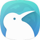 Kiwi Browser浏览器