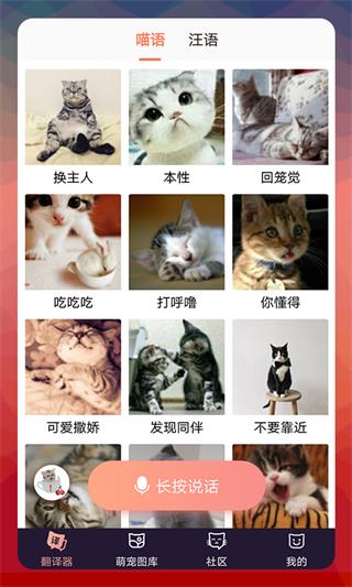 Peppycat猫语翻译器