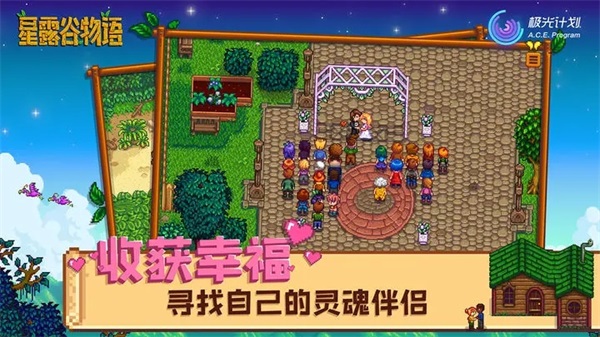 stardewvalley联机版截图3