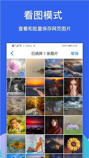 alook浏览器手表版