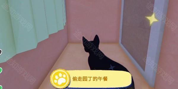 小猫咪大城市免费版