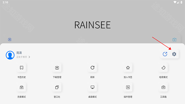 雨见浏览器精简版