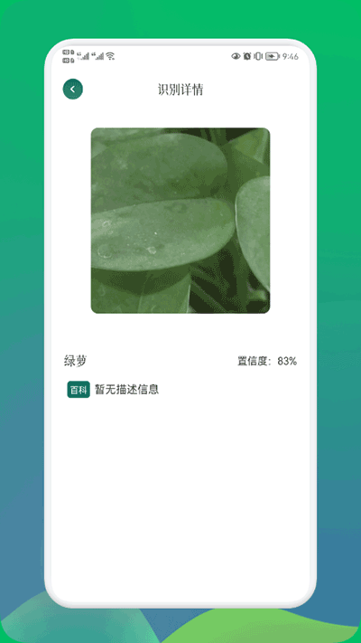 小园丁截图1