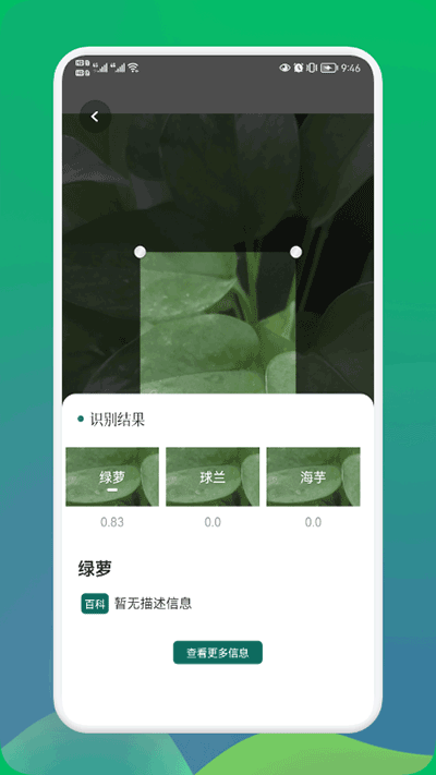 小园丁截图2