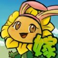 植物僵尸战争娘化版