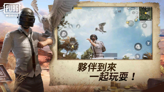 pubg轻量版截图1