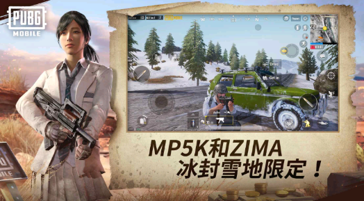 pubg轻量版截图2