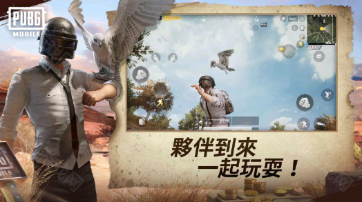 pubg轻量版