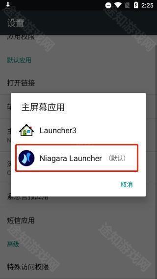 Niagara Launcher图片7