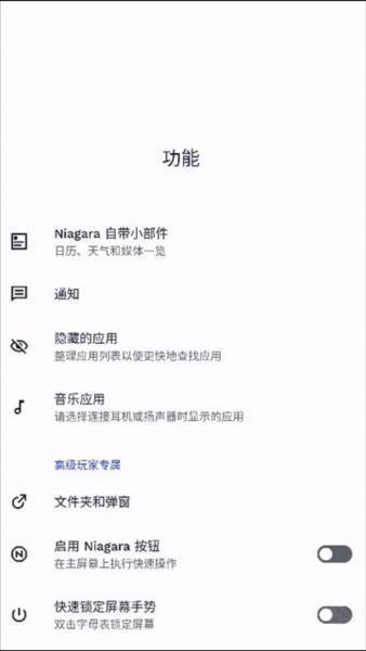 Niagara Launcher图片16