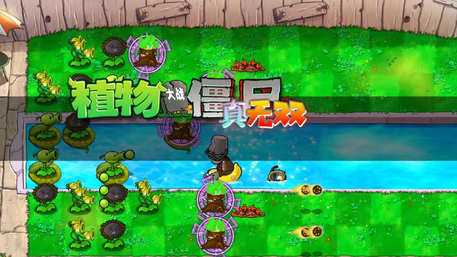 pvz真无双版